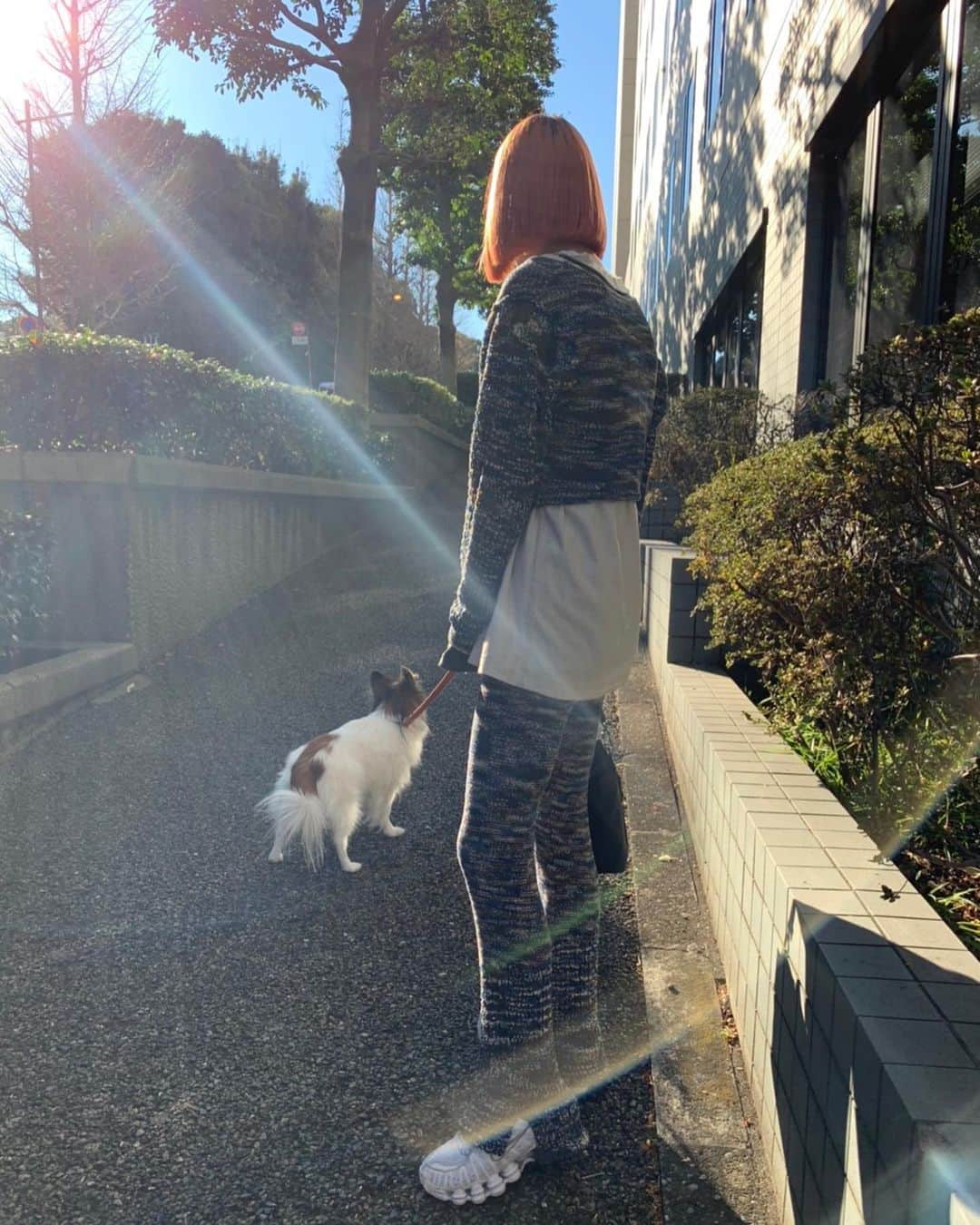 Yukano Nojiriさんのインスタグラム写真 - (Yukano NojiriInstagram)「どうしても坂、のぼりたいこっちゃん🦊 最近お気に入りのコーデ🔥 去年のSSやけど、全然着れなくて今めちゃくちゃブーム来てる🥺 #perverze #散歩コーデ」1月23日 19時50分 - yukano22