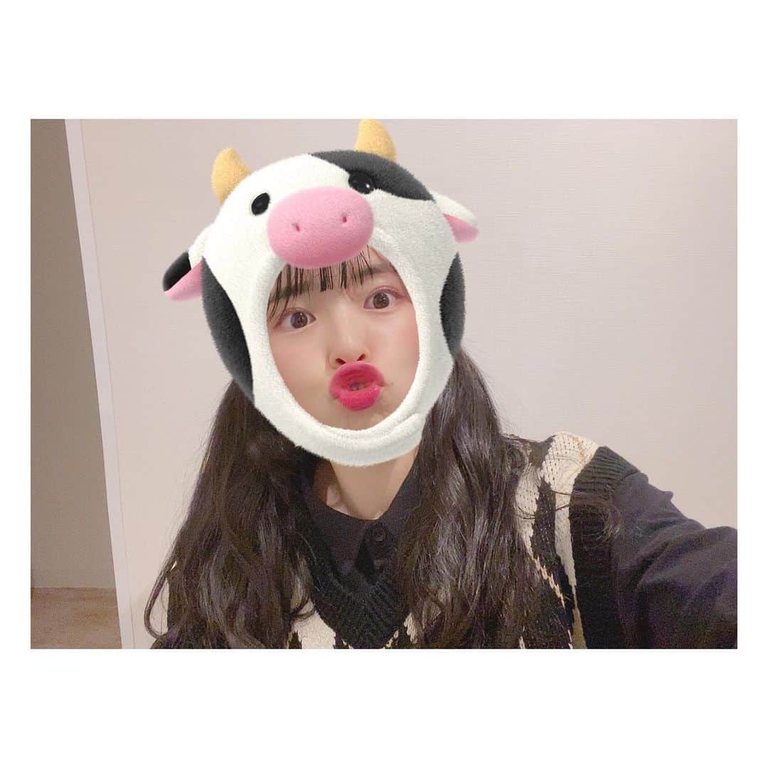 松崎博香のインスタグラム：「今日もありがとうございました🐮  ひぃちゃんねる、ひぃちゃんねるらじお 2021年もよろしくお願いします♡♡  頑張ります🐡🐡🐡！  真剣な気持ちで撮ったけど 表情が真剣じゃなくてごめんなさい🥲 #2021年 #牛になってみた #instagood #instapic #instalike #selfie #lfl #lll #맞팔 #맞팔해요 #맞좋아요 #좋아요반사 #좋아요 #좋아요그램 #오오티디」