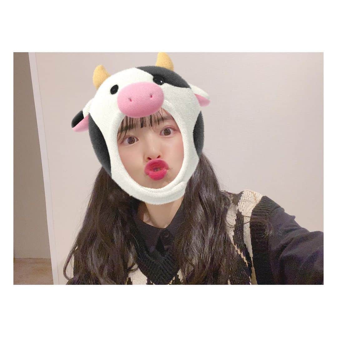 松崎博香さんのインスタグラム写真 - (松崎博香Instagram)「今日もありがとうございました🐮  ひぃちゃんねる、ひぃちゃんねるらじお 2021年もよろしくお願いします♡♡  頑張ります🐡🐡🐡！  真剣な気持ちで撮ったけど 表情が真剣じゃなくてごめんなさい🥲 #2021年 #牛になってみた #instagood #instapic #instalike #selfie #lfl #lll #맞팔 #맞팔해요 #맞좋아요 #좋아요반사 #좋아요 #좋아요그램 #오오티디」1月23日 19時57分 - hiichan_starmarie