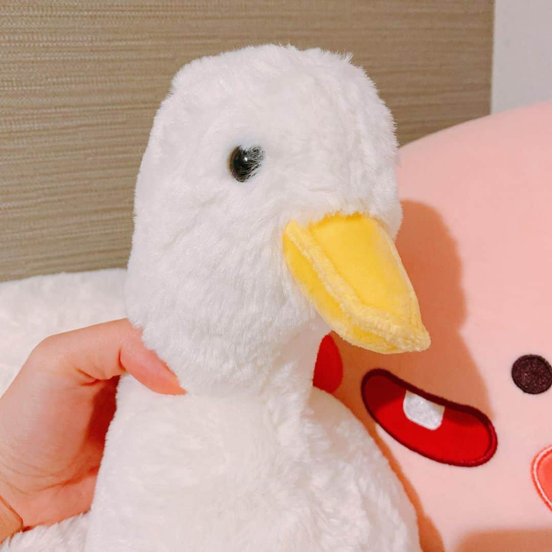 小桃さんのインスタグラム写真 - (小桃Instagram)「スバスバ(？」1月23日 20時15分 - siutao1126