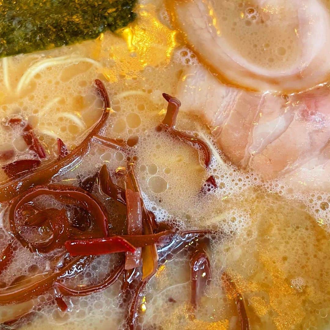 ichigoのインスタグラム：「無事に豚骨ラーメンを摂取して、おうちに帰ってきました。  東京寒い🥺 昨日の福岡は20度だったからギャップがすごい。 みんなもあったかくして過ごしてね 猫を抱くといいよ(ФωФ)」
