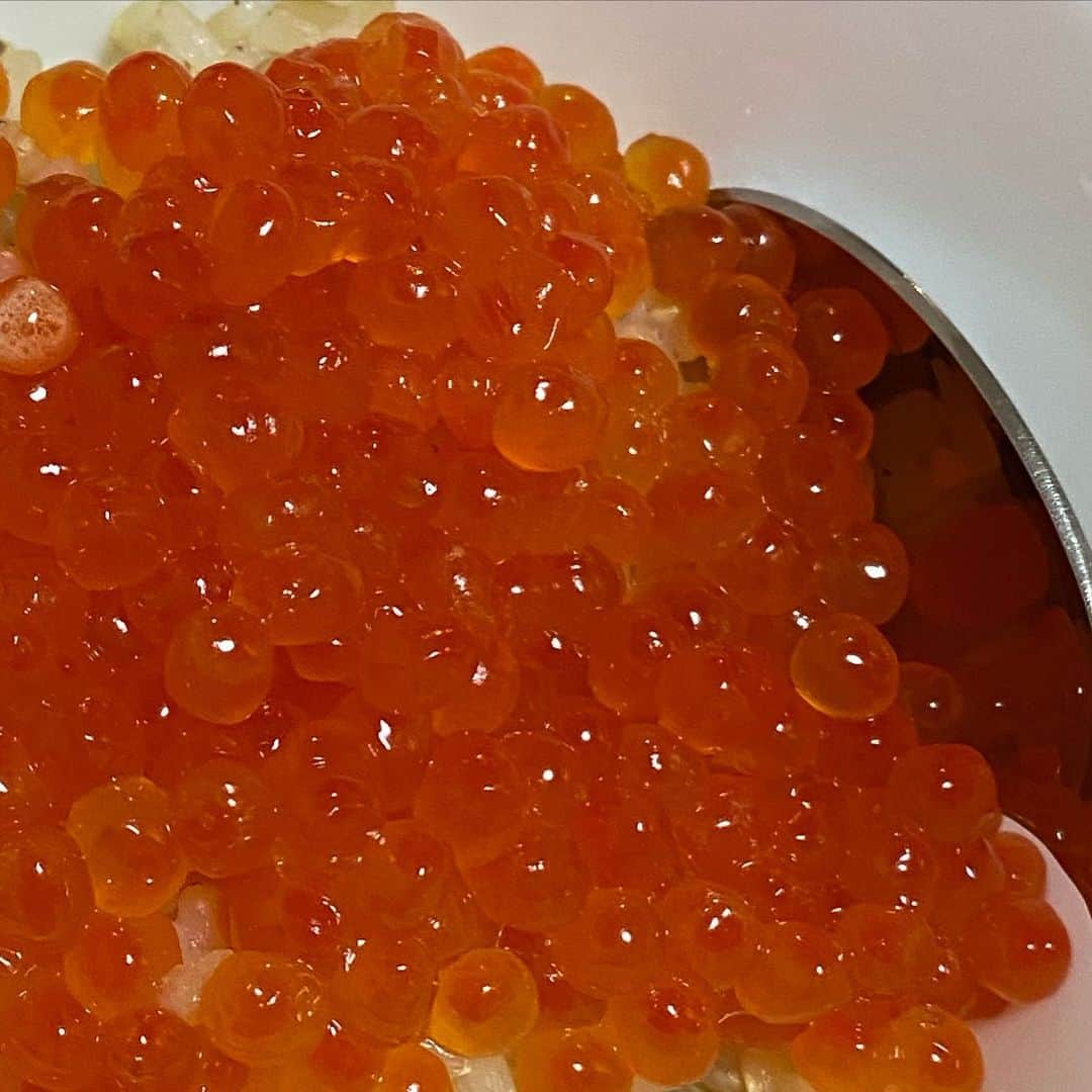 谷本貴義のインスタグラム：「玄米でいくら丼 ヘルシーで高カロリー 健康志向で欲望の海  #いくら丼 #タベグラム」