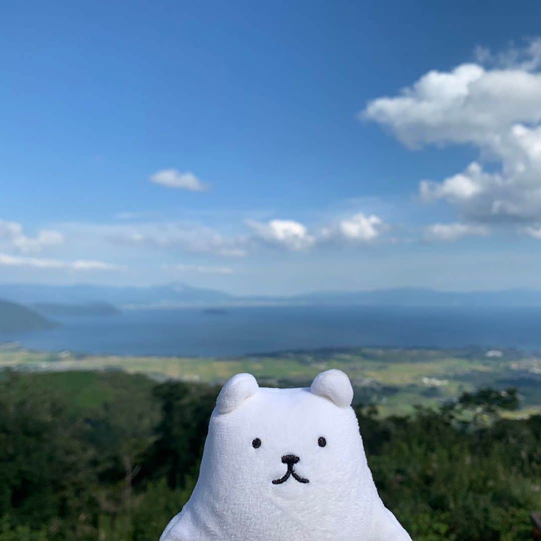 フィルたんのインスタグラム
