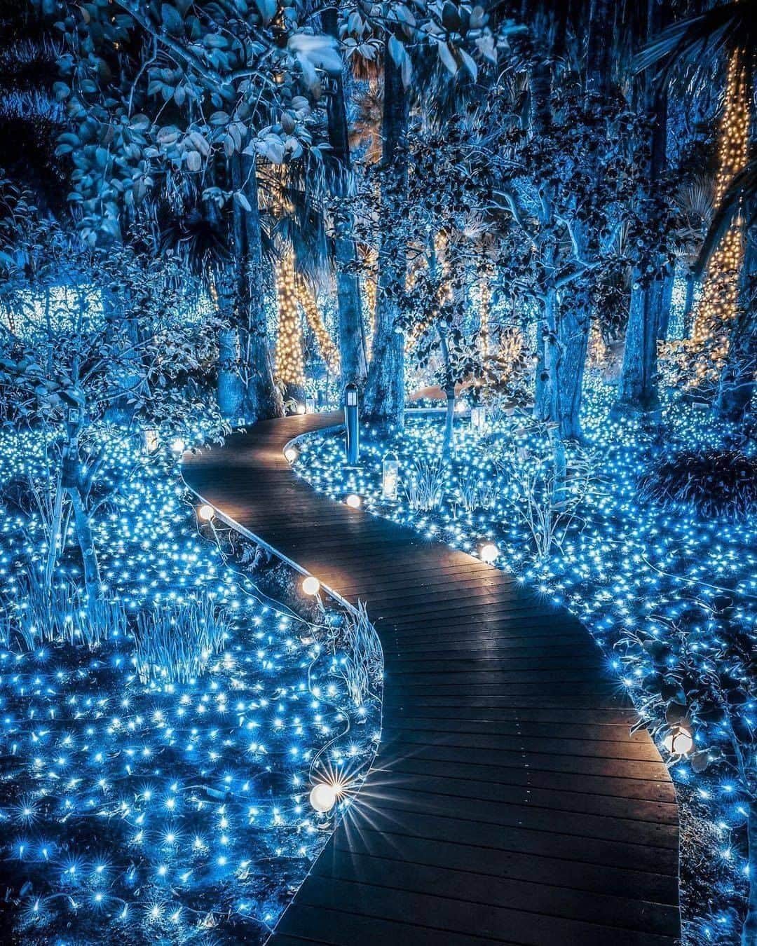 9GAGさんのインスタグラム写真 - (9GAGInstagram)「Walking through this fairy path ✨ Follow @voyaged for more magical places around the 🌍 - 📷 @jungraphy_ - #voyaged #japan #9gag」1月23日 20時30分 - 9gag