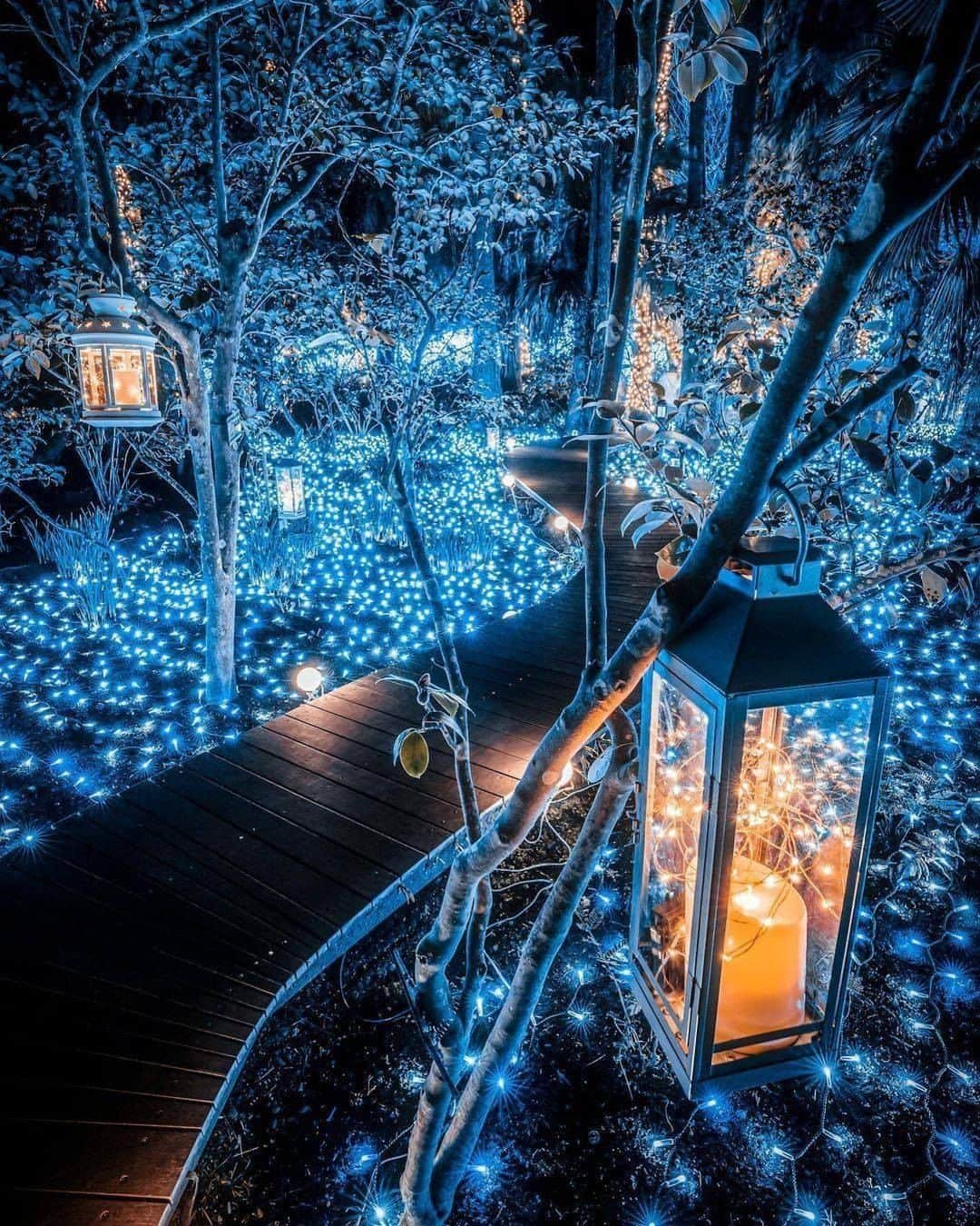 9GAGさんのインスタグラム写真 - (9GAGInstagram)「Walking through this fairy path ✨ Follow @voyaged for more magical places around the 🌍 - 📷 @jungraphy_ - #voyaged #japan #9gag」1月23日 20時30分 - 9gag