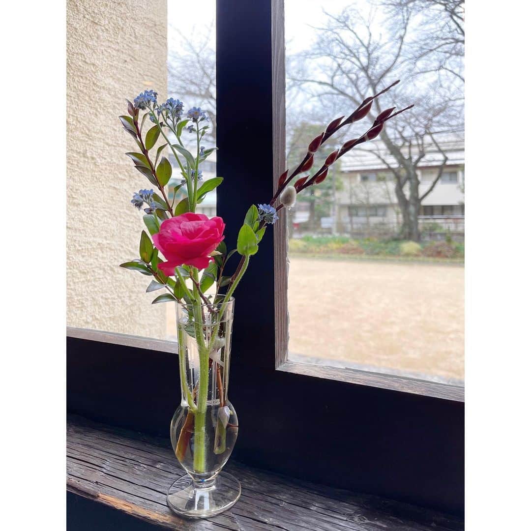 川島幸恵さんのインスタグラム写真 - (川島幸恵Instagram)「🌿🌿🌿  明日は雪降っちゃうのかな…💭☃️  #flower #flowers #pink #blue #green」1月23日 20時49分 - sachie118