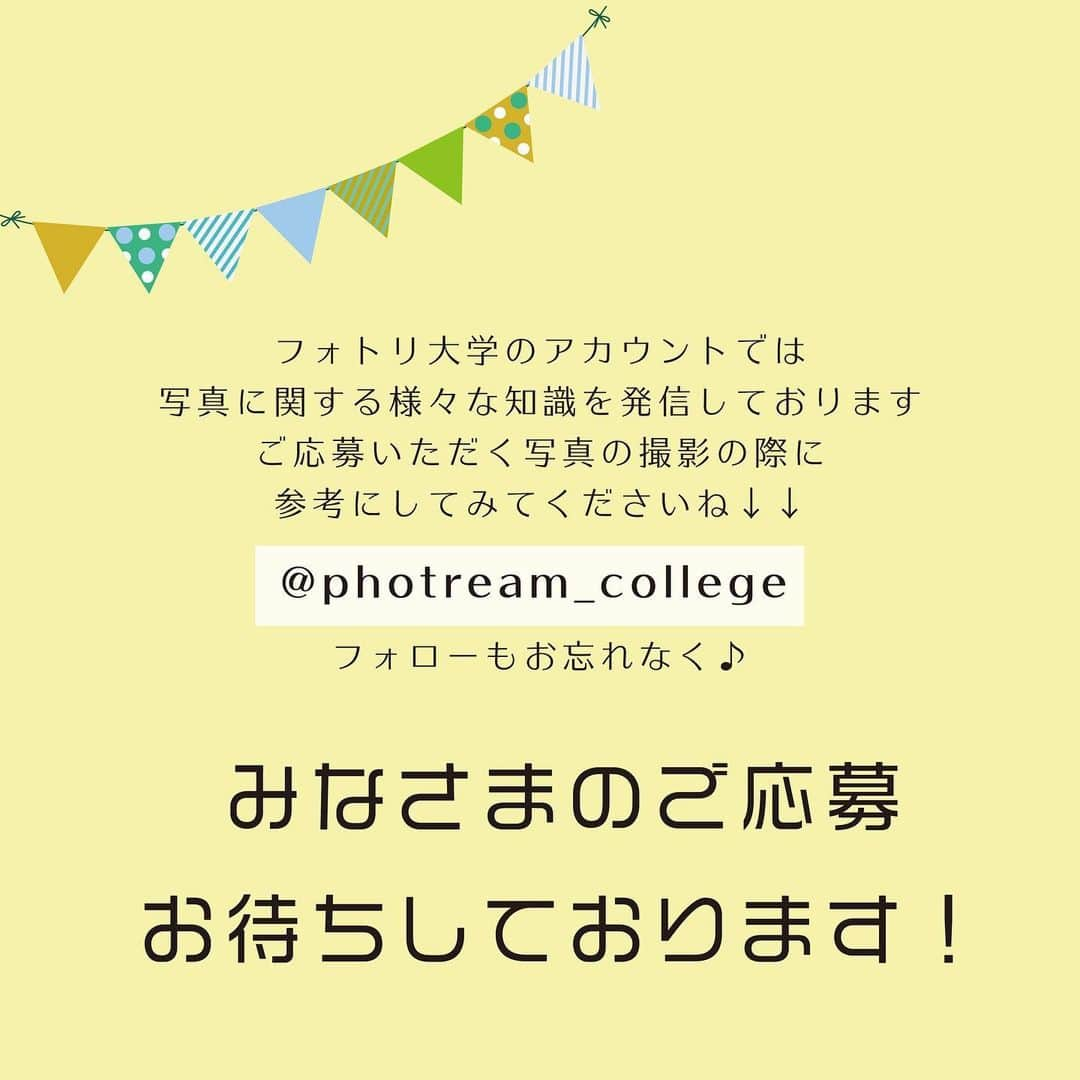 フォトリ Magazineさんのインスタグラム写真 - (フォトリ MagazineInstagram)「【おうちフォトコンテスト開催‼️】 . フォトリ大学の人気プリセットがもらえるフォトコンテストを開催します✨  〈応募方法〉 おうちで撮影した写真を 「#写真で明日をもっと楽しく」 「#フォトリおうちコンテスト」 の２つのタグを付けて、フィードに投稿してください♪  〈表彰について〉 各部門受賞者の皆様には、フォトリ大学の人気プリセット（スマホでも使用できます☺️）をプレゼントいたします！  ・ニコニコ賞・・・1名様 表情が素敵なお写真の表彰部門です。  ・モグモグ賞・・・1名様 食にまつわるお写真の表彰部門です。  ・グッズ賞・・・1名様 小物や道具を使ったお写真の表彰部門です。  〈応募期間〉 2021年1月23日〜2021年2月7日23:59  〈発表方法〉 受賞されたお写真をレタッチしてフォトリ大学のアカウントにて紹介させていただきます♪ （レタッチ後のお写真もプレゼント）  ★皆様のご応募お待ちしております☺️★ . . お写真使用させていただきました、 @anzu_portrait さん、 @kaori_haruyuto さん、 @__syoko__ さん、ありがとうございました！ .  🐣フォトリ大学は「明日をもっと楽しくする」カメラ講座です！ ワンタッチ編集のプリセット販売やフォトグラファーを目指すフォトリ大学プロ開校中です！ 詳細はプロフィールからチェックしてみてください✨  . #フォトリ#photream#出張撮影#ファインダー越しの私の世界 #キッズフォト#こどものいる暮らし#カメラ#一眼レフ#写真で明日をもっと楽しく」1月23日 20時51分 - photream_college