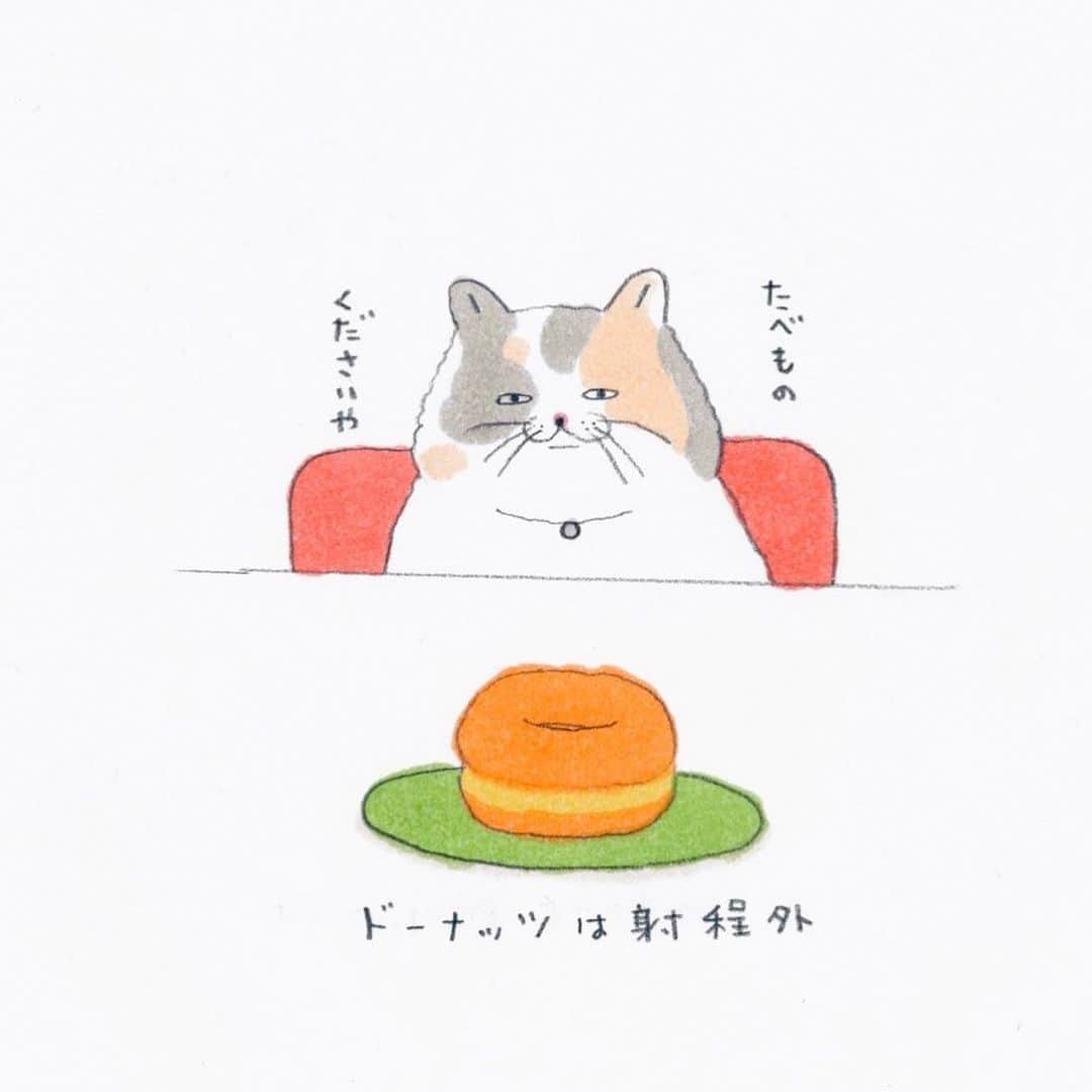 コンドウアキさんのインスタグラム写真 - (コンドウアキInstagram)「#とある猫の日常 #猫 #cat」1月23日 20時54分 - akikondo_insta