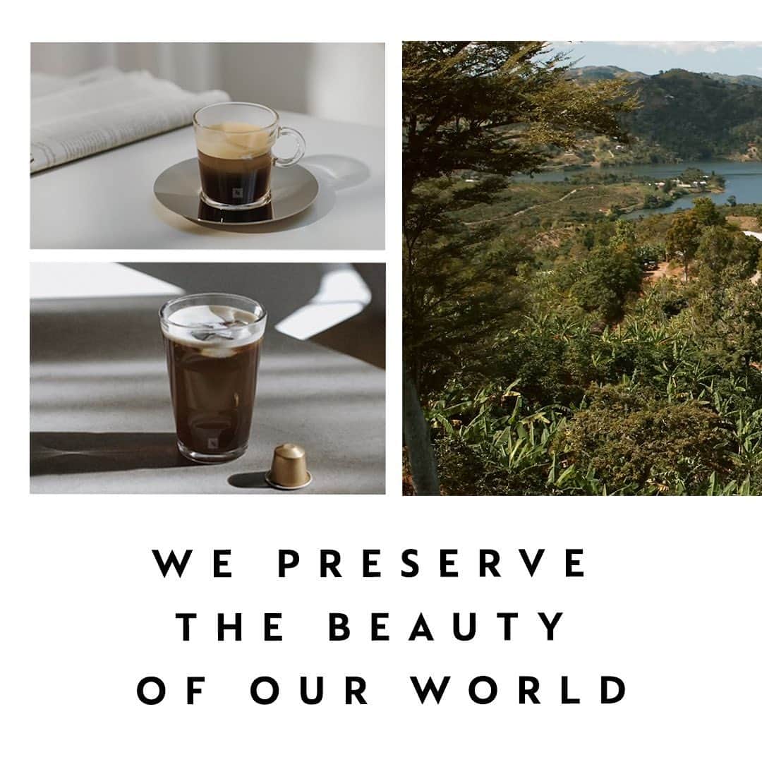 Nespressoのインスタグラム：「With every cup there is great taste that reveals something unique and deep within... One that cultivates some of the rarest coffee in the world to preserve the beauty of our world.   #Witheverycup #Nespresso」