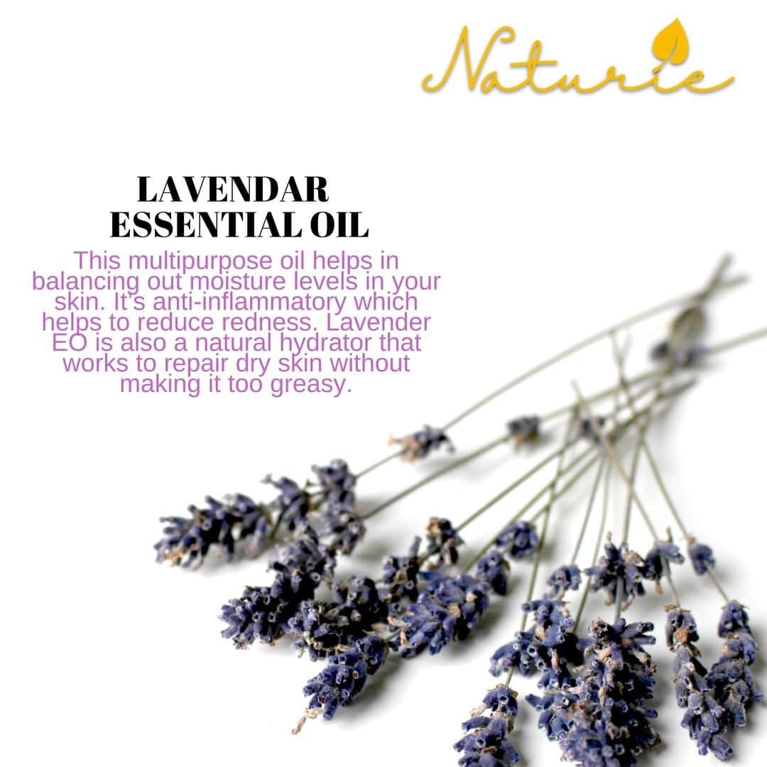 ナチュリエのインスタグラム：「Minyak lavender ada banyak kegunaan untuk merawat kulit.  . Ia nya membantu mengurangkan keradangan pada kulit secara semulajadi, mengurangkan rasa sakit, dan membersihkan permukaan kulit.  . Minyak lavender boleh digunakan di wajah, kaki, dan tangan. . Naturie juga menggunakan Lavendar EO di dalam produk kami. . Untuk merasai sendiri kebaikkan minyak pati lavendar, dapatkan Naturie Clarifying Toner di www.naturie.com.my.」