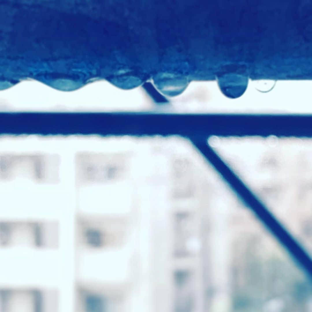中野敬久さんのインスタグラム写真 - (中野敬久Instagram)「#raindrops #nosnow #ame #yofuke #yuki #nochange」1月24日 8時29分 - hirohisanakano
