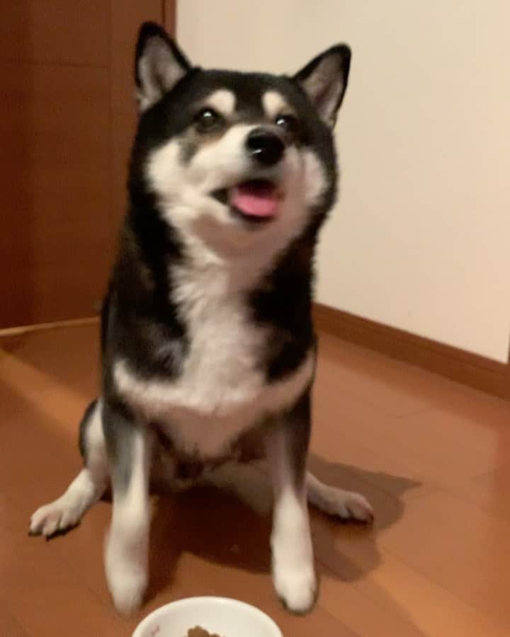 くろのインスタグラム