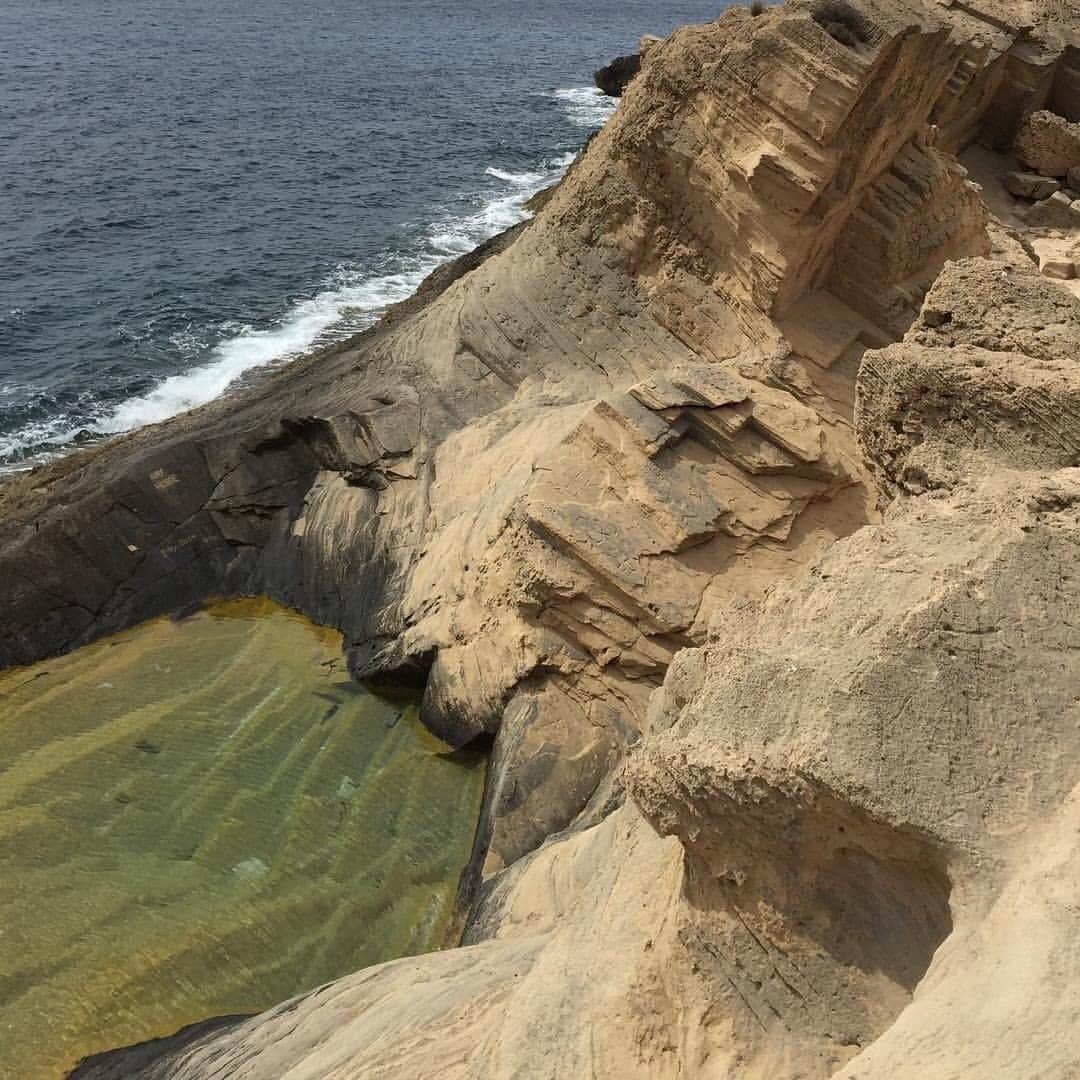 カレントエリオットのインスタグラム：「bird’s eye view」