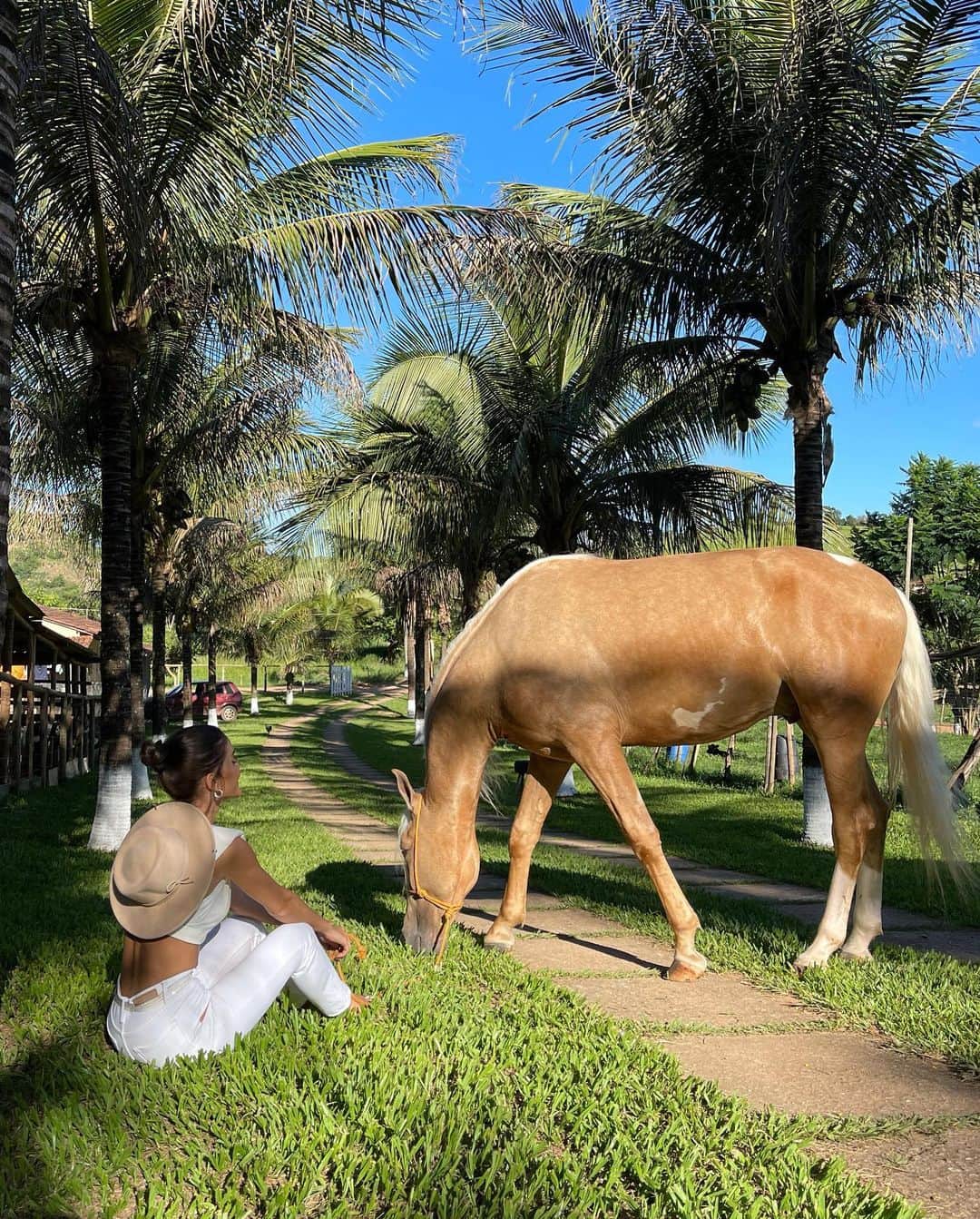 Camila Coelhoさんのインスタグラム写真 - (Camila CoelhoInstagram)「My blonde baby💛🐴 Meu filho loiro!  #mangalargamarchador #horse @harasbrisanoturna」1月24日 8時15分 - camilacoelho