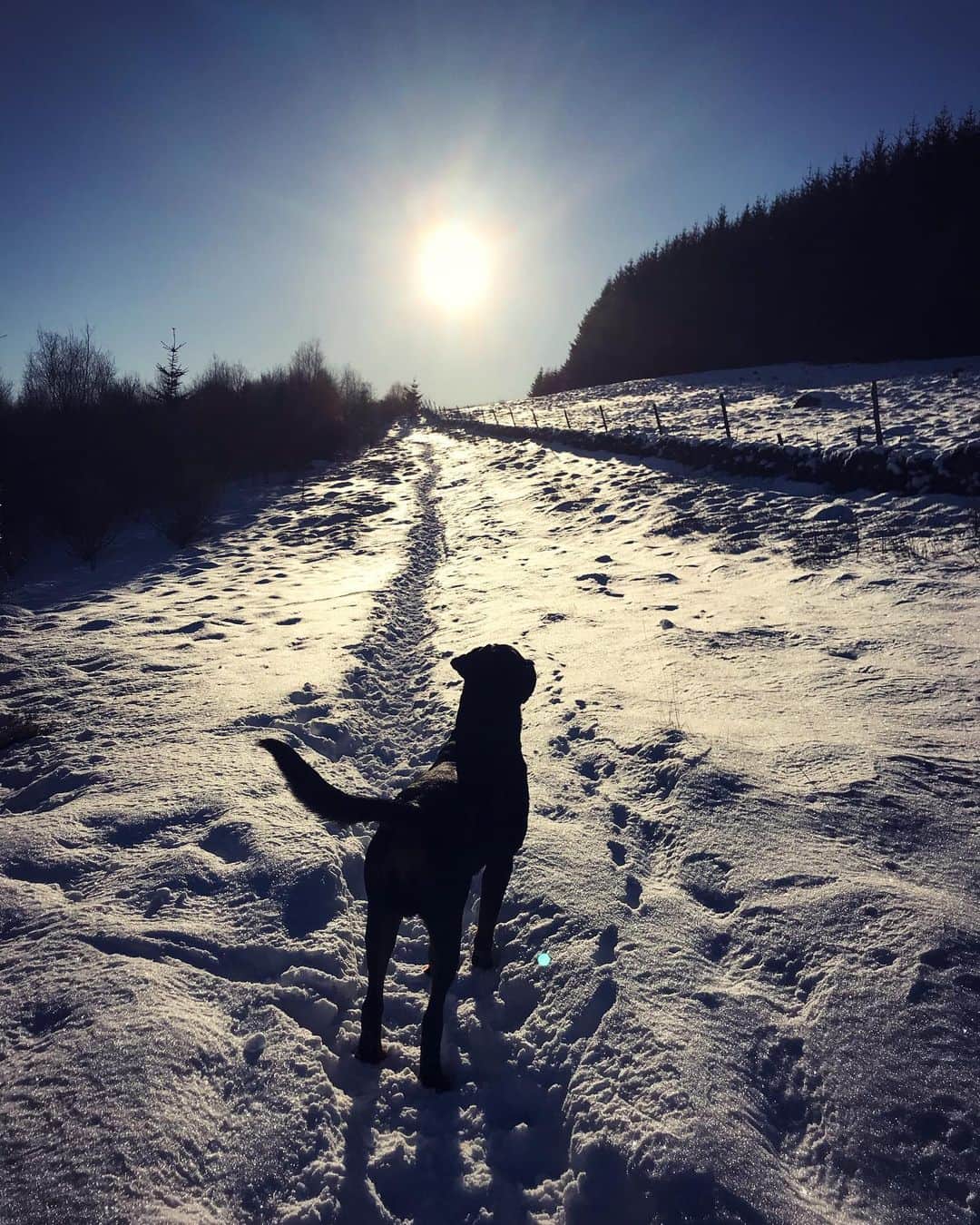 エイリー・チャイルドのインスタグラム：「❄️☀️」