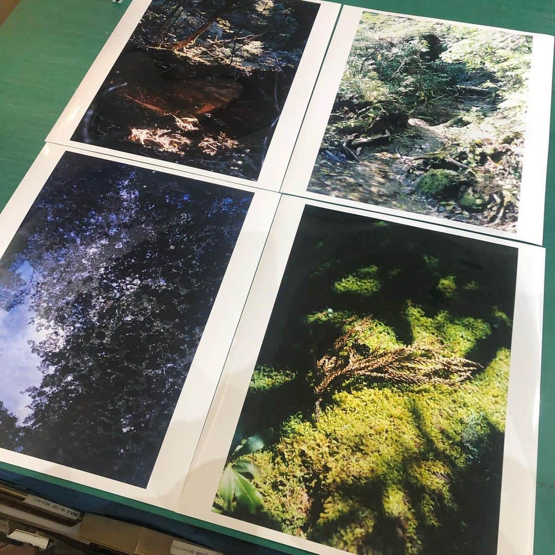 阿部裕介のインスタグラム：「4年前の屋久島の写真を再度プリントし直してみました。  #タビノキオク」