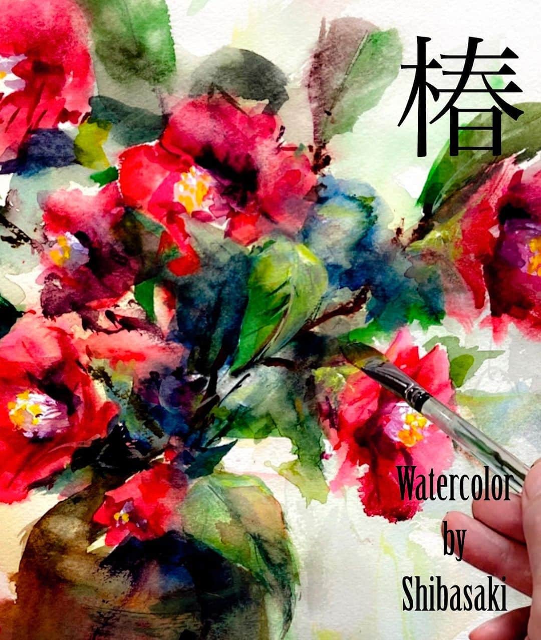 柴崎春通のインスタグラム：「Camellias / 椿  #shiba_watercolor #watercolor #watercolorpainting #painting #drawing #youtube #youtuber #camellia #camelliajaponica #椿」