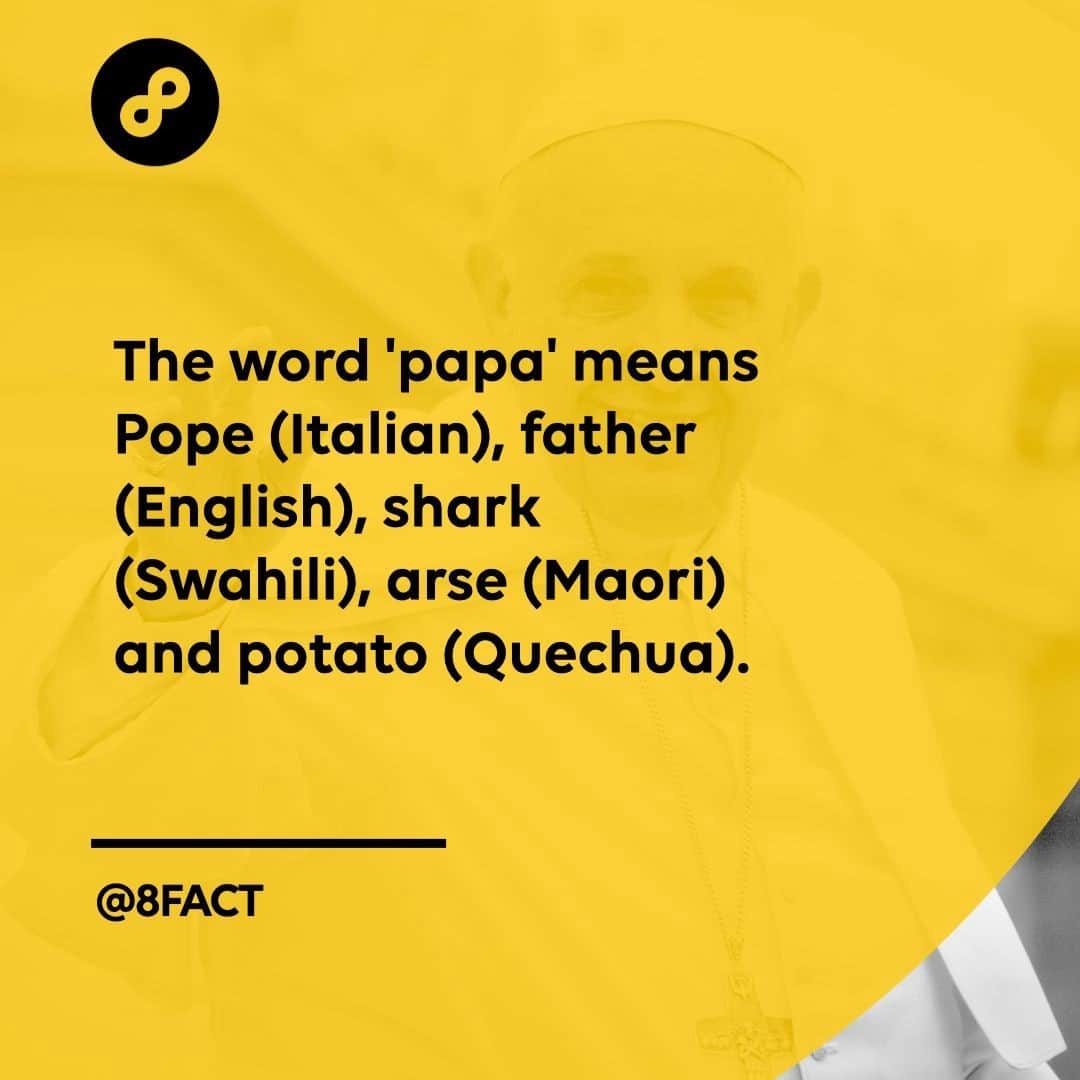 さんのインスタグラム写真 - (Instagram)「What does ‘papa’ mean in your first language?」1月24日 0時35分 - 8fact