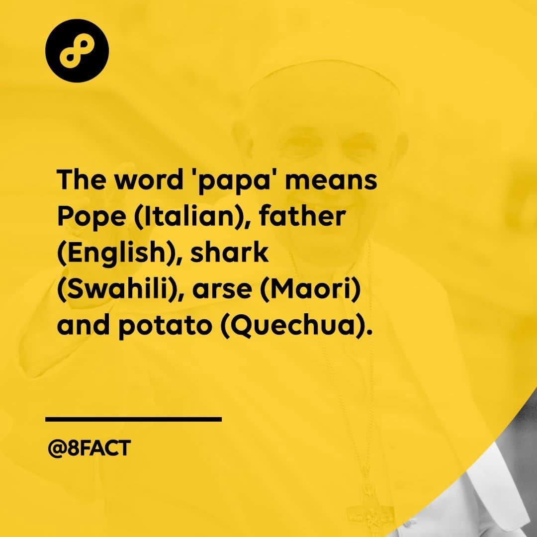 のインスタグラム：「What does ‘papa’ mean in your first language?」