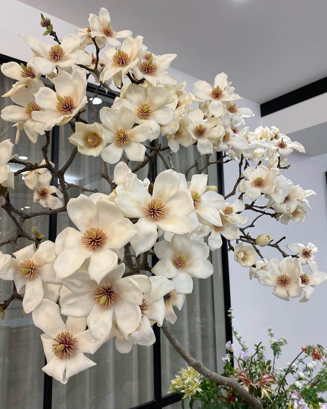 名古屋プレミアムネイルサロン アデリーネイルのインスタグラム：「サロンのお花も満開✨✨✨  アデリーネイル ☎︎052-325-2533 名古屋市北区若葉通1-2レクサ若葉2階 1階無料駐車場となっております(6台有)#アデリーネイル#プレミアムネイルサロン #ネイル#ネイルサロン#名古屋#名古屋ネイルサロン#3Dネイルアート#nails#gelnails#nailart#スワロフスキークリスタル#アイラッシュサロン#サロンデザイン#フレンチネイル#ドット#네일#무광네일#살롱」