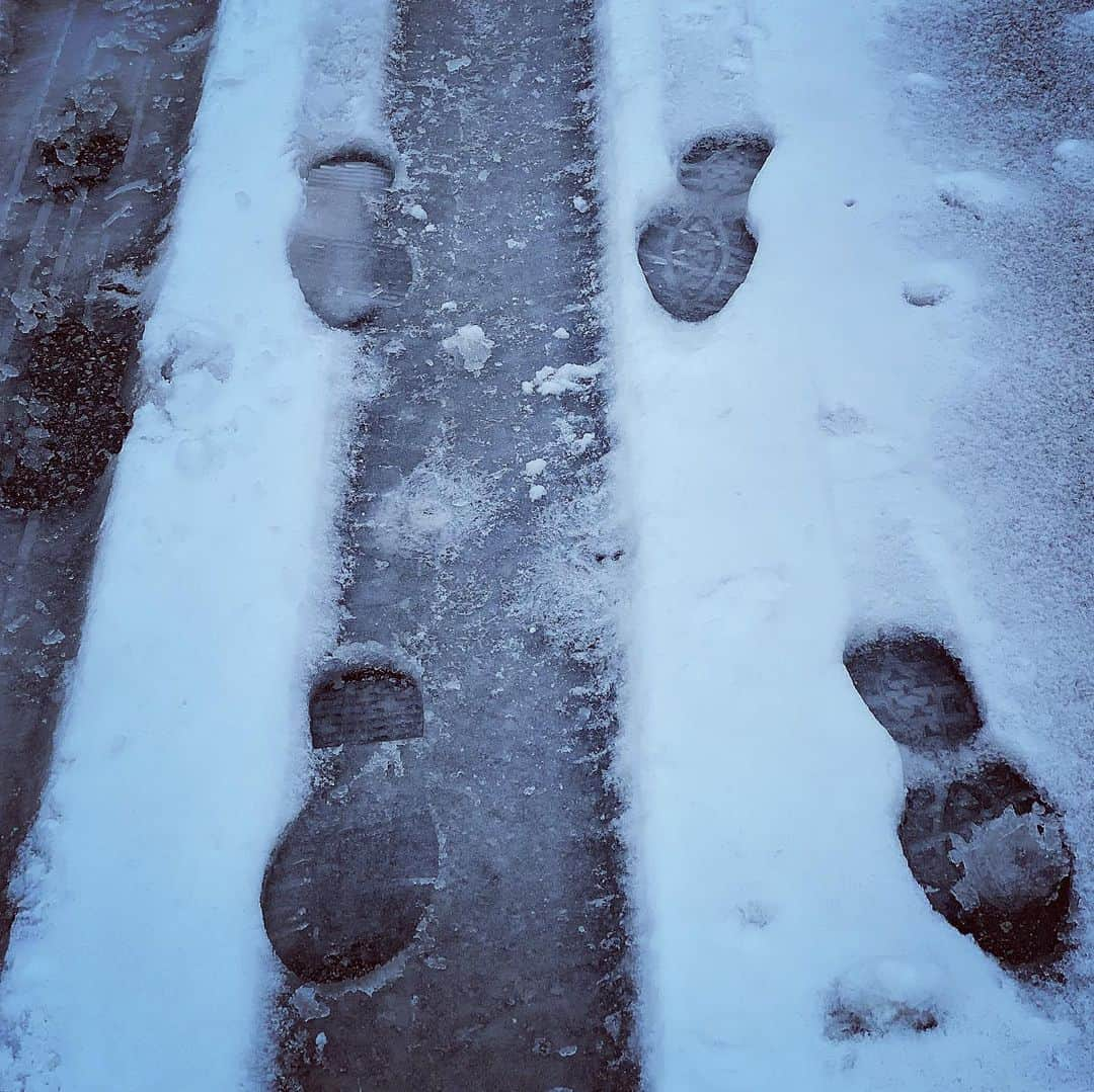 サイモンとマルティナさんのインスタグラム写真 - (サイモンとマルティナInstagram)「Martina here 📸 There are many different ways to view the same situation. Snow can be inconvenient. The suburbs can be dull. Winter can be awful cold. Rather than repeating and cementing these ideas in my brain as “the one truth” I’ve been actively trying to see the beauty around me. These are all photos I’ve taken from various strolls around the suburbs in Toronto. I’ve always been a lover of snow; no snow fall is exactly the same. ❄️ Some snow is great for shaping, while some is fluffy and fleeting. On some days, the ground is covered in snowy moulding clay, briefly imprinting doggie prints and human prints alike. Snow people and snow forts spring up one day, and vanish the next. It takes the correct cold-to-warm ratio for icicles to appear. And if you’re outside to catch the gorgeous sunset filtering through the trees, you’re also on a mission to GTF home before it completely sets...otherwise you’ll be freezing your butt off.  Yes, it can always be an adventure and a #buildaladder win if you take a step back from the yap-yap-yap prattle inside your own head. Even if just for 5 minutes, give it a try and see what beauty you can find around you.」1月24日 1時47分 - eatyourkimchi