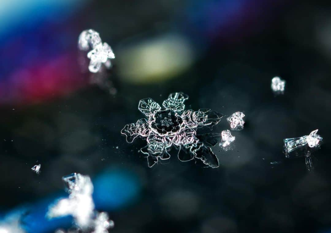 アンジー・ペインさんのインスタグラム写真 - (アンジー・ペインInstagram)「Impermanence. It’s one of traits of snowflakes that appeals to me most. These little pieces of beauty fall from the sky and grace the world with their mesmerizing presence for a few moments before melting away or being buried under other snowflakes and incorporated into the chaos. On the rare occasion that I get to enjoy and photograph the intricate beauty of a single flake, it feels like time stops for a brief moment. There is a focused awareness and excitement that comes in those few fleeting seconds before the flake, in all its individual and absolutely unique beauty, is gone forever.  • One week from today I’m teaching an online snowflake photography class for the local camera store, @mymikescamera — see link in my bio for more info. • • • #macro #macrophotography #snowflakes #yourshotphotographer」1月24日 4時08分 - angelajpayne