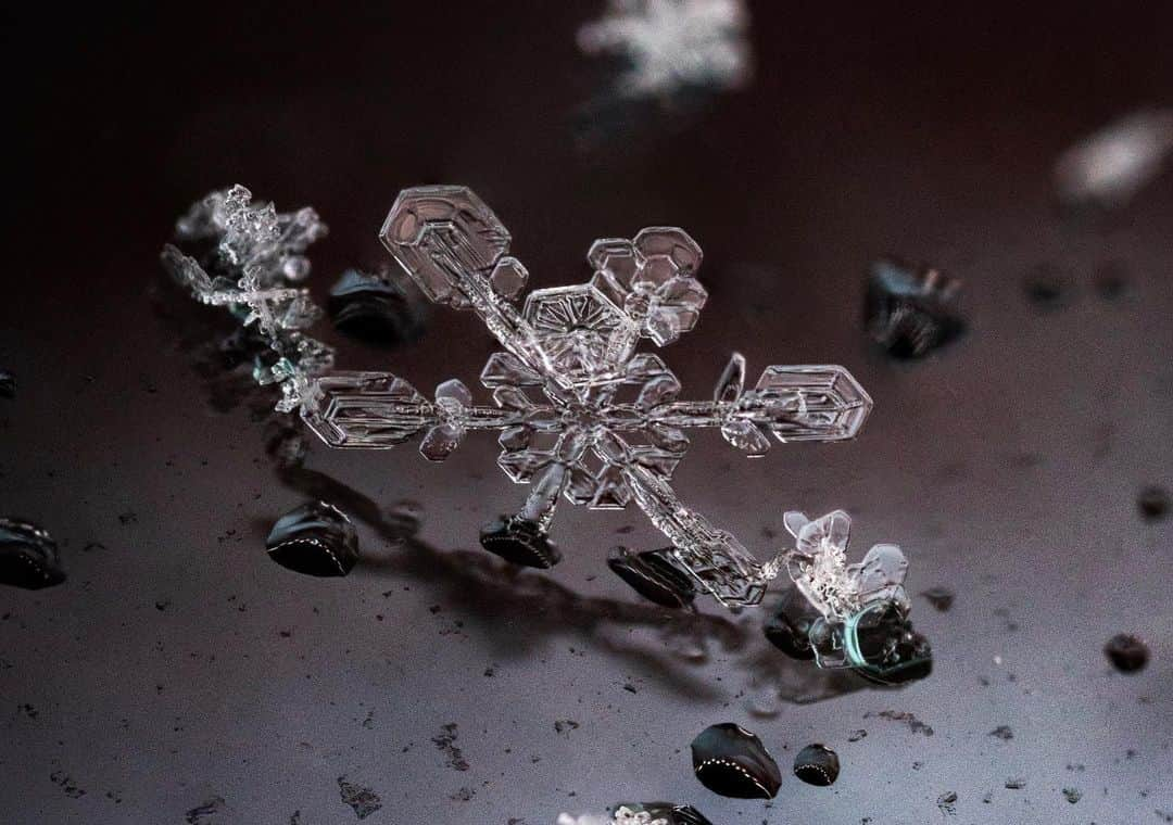 アンジー・ペインさんのインスタグラム写真 - (アンジー・ペインInstagram)「Impermanence. It’s one of traits of snowflakes that appeals to me most. These little pieces of beauty fall from the sky and grace the world with their mesmerizing presence for a few moments before melting away or being buried under other snowflakes and incorporated into the chaos. On the rare occasion that I get to enjoy and photograph the intricate beauty of a single flake, it feels like time stops for a brief moment. There is a focused awareness and excitement that comes in those few fleeting seconds before the flake, in all its individual and absolutely unique beauty, is gone forever.  • One week from today I’m teaching an online snowflake photography class for the local camera store, @mymikescamera — see link in my bio for more info. • • • #macro #macrophotography #snowflakes #yourshotphotographer」1月24日 4時08分 - angelajpayne