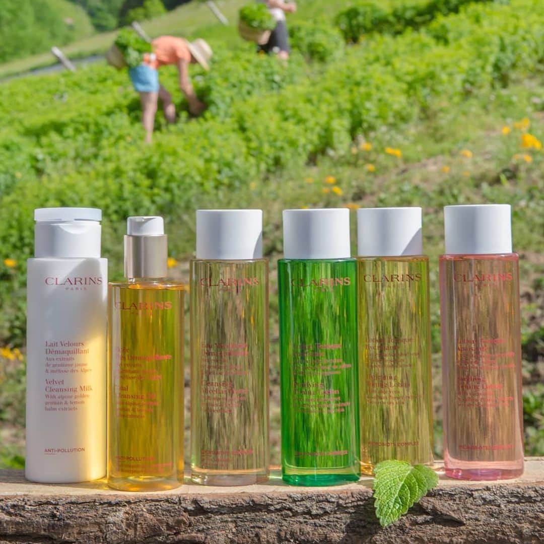 CLARINSさんのインスタグラム写真 - (CLARINSInstagram)「🌿🏔Have you tried one of our NEW cleansers yet? Tell us which one in the comments!💚  #DidYouKnow Our new cleansers have ingredients sustainably-farmed in the #frenchalps 🇫🇷  Our exclusive Gentle Complex, a blend of the purest Organic Golden Gentian and Organic Lemon Balm extracts, is sourced from Le Domaine Clarins, our open-air laboratory in the French Alps where our plants are cultivated with ethical and sustainable farming methods. In our nearly 2000 acres of protected, unspoiled land, we use traditional techniques and minimal technology to preserve the health of the soil and create the ideal conditions to develop the highest quality ingredients for our natural beauty products.   #greenbeauty #skincare #clarins #clarinsskincare #selfcare」1月24日 4時11分 - clarinsusa