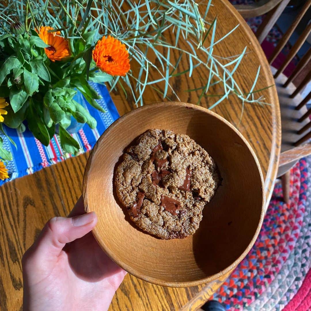 ボニー・ライトのインスタグラム：「a choc chip cookie i baked with kernza flour, a new wheat grain bred from a perennial wild plant that could help prevent erosion and soil loss. i love a climate solution i can eat 🍪」