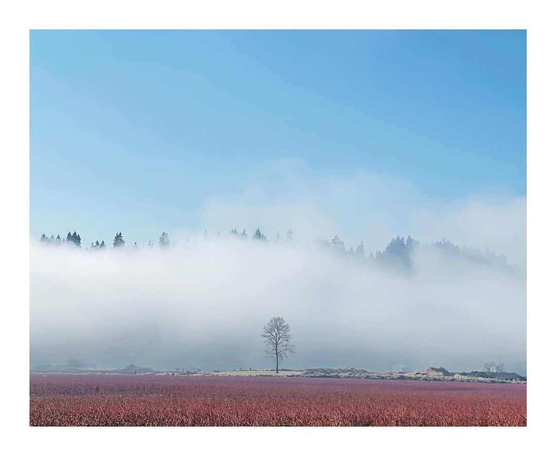 Cory Staudacherのインスタグラム：「#shotoniphone this morning」