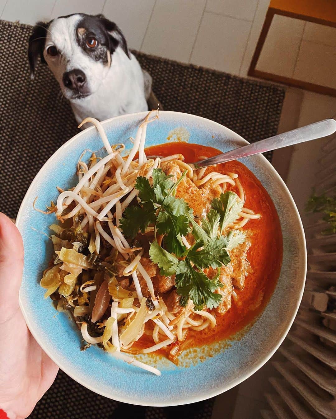STIL IN BERLINのインスタグラム：「Yesterday’s lunch was @thepandanoodle’s comforting, spicy, and joyful mushroom curry with fresh noodles and pickles. Preorder and pick it up at Lausitzer Platz, it’s very worth it. #nicothemutt」