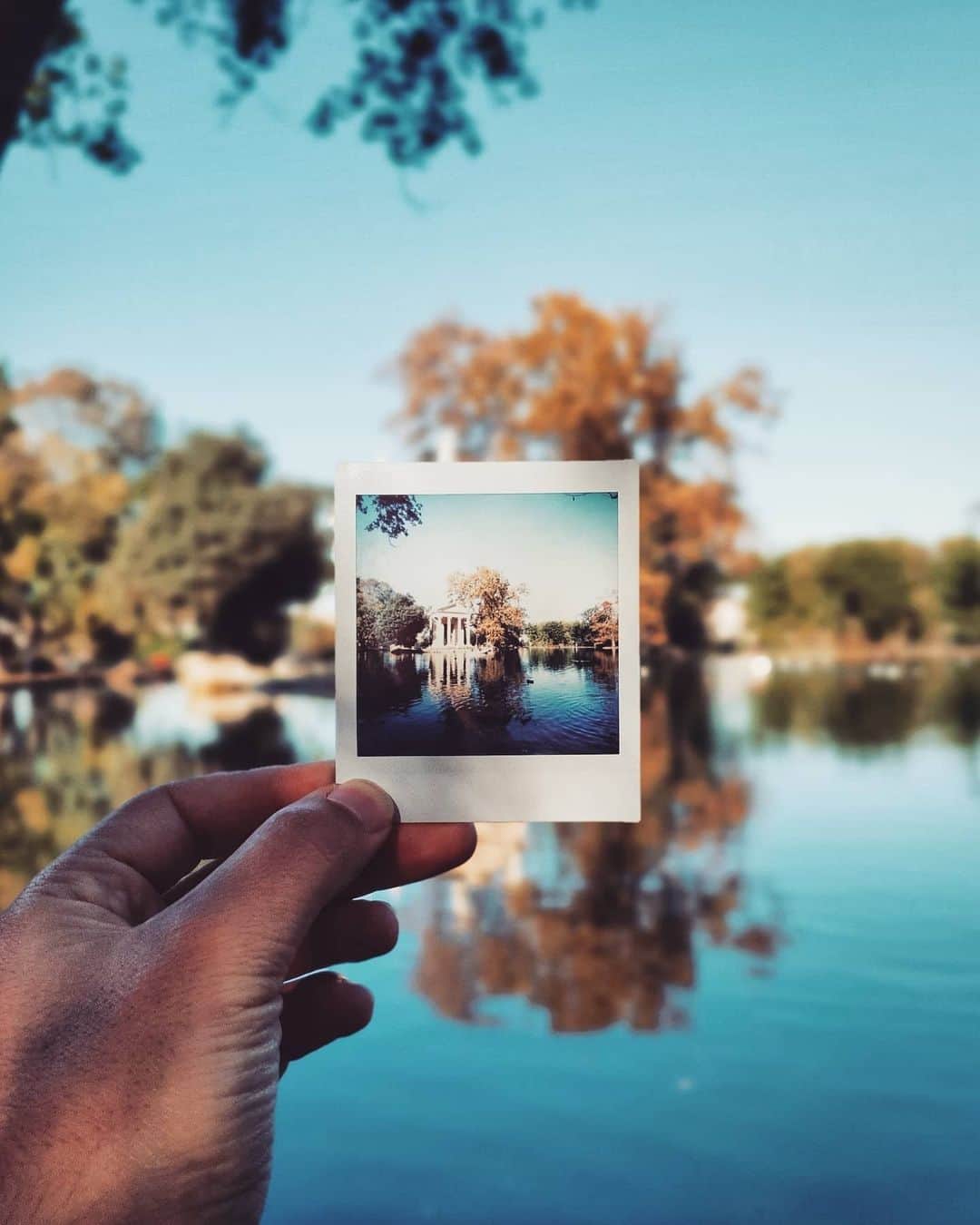 Fujifilm Instax North Americaさんのインスタグラム写真 - (Fujifilm Instax North AmericaInstagram)「Always loving sunny views 💙 what’s your fav weather? Drop an emoji below 👇☀🌦⁠ ⁠ 🖼️ Source: @andre.pelle27⁠ ⁠ #dontjusttakegive⁠ #minifilm⁠ #sunny」2月8日 2時02分 - fujifilm_instax_northamerica