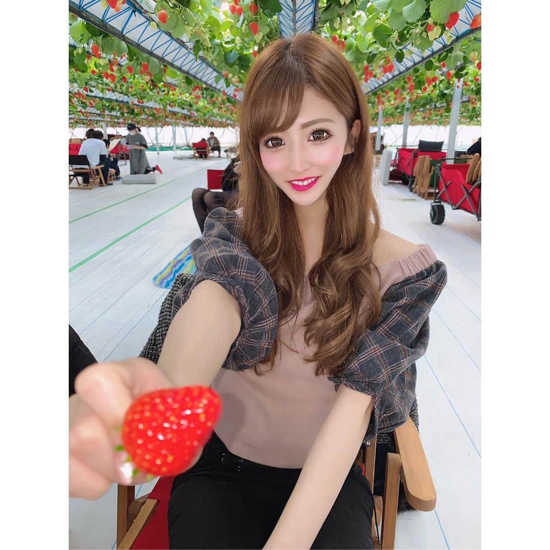 椿あいなのインスタグラム：「・ ・ れんとんといちご狩り❤️ ・ いちご甘くて美味しすぎた🍓💕💕 ・ ・ #いちご狩り #淡路島」