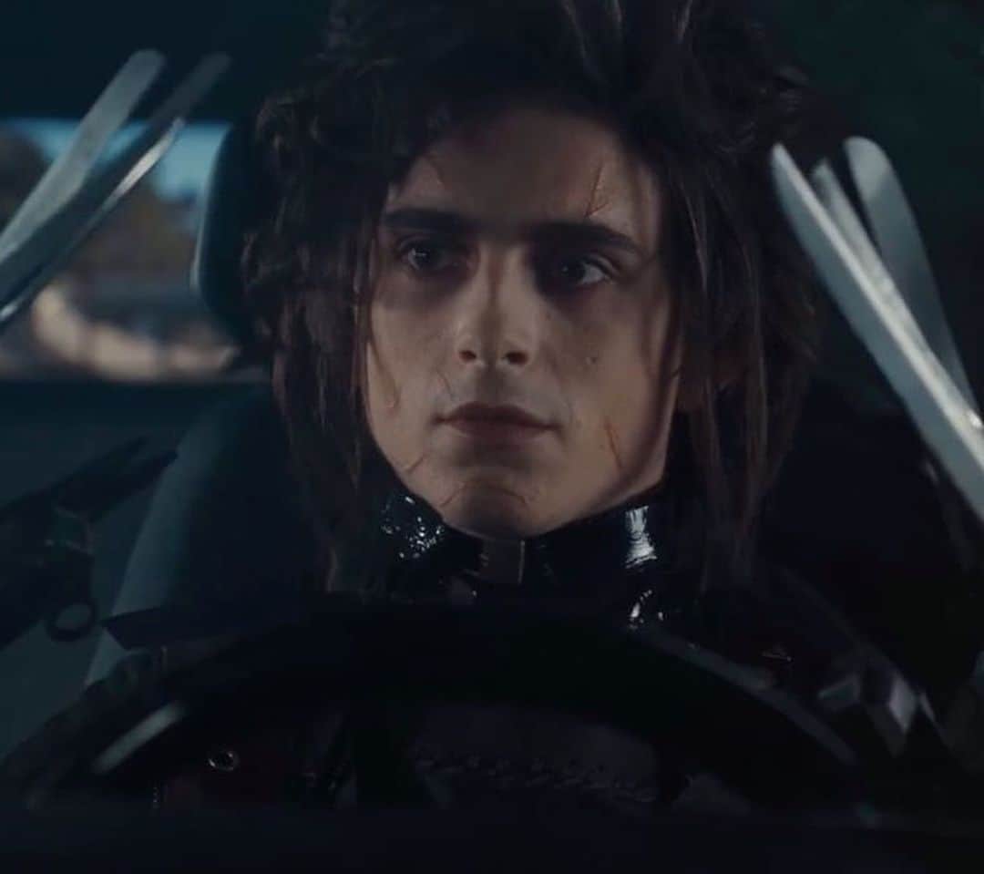 WHO WHAT WEARさんのインスタグラム写真 - (WHO WHAT WEARInstagram)「Timmy as Edward Scissorhands’ son I’m— photos: @cadillac」2月8日 2時14分 - whowhatwear