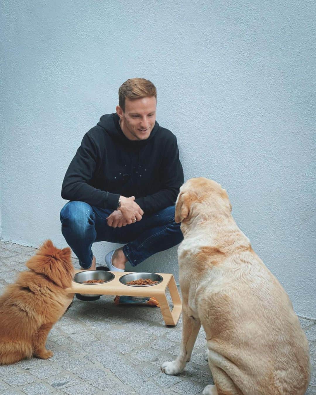 イヴァン・ラキティッチのインスタグラム：「I’m trying to explain to Nuno and Enzo that they will have a new friend soon. Explicando a Nuno y Enzo que pronto tendrán un nuevo amigo! 🐶🐶🤪☺️ @miacaradesign #miacara #miacaradesign #pet #dog  📸 @raquel_mauri」