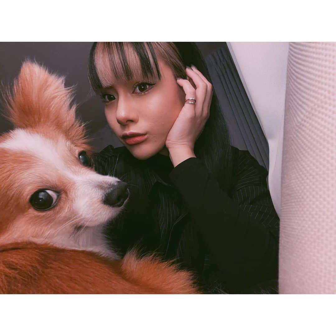 仲万美（Bambi Naka）さんのインスタグラム写真 - (仲万美（Bambi Naka）Instagram)「たまにはこういう写真もあげようね 🐕🦌」2月7日 17時38分 - 615_bambi