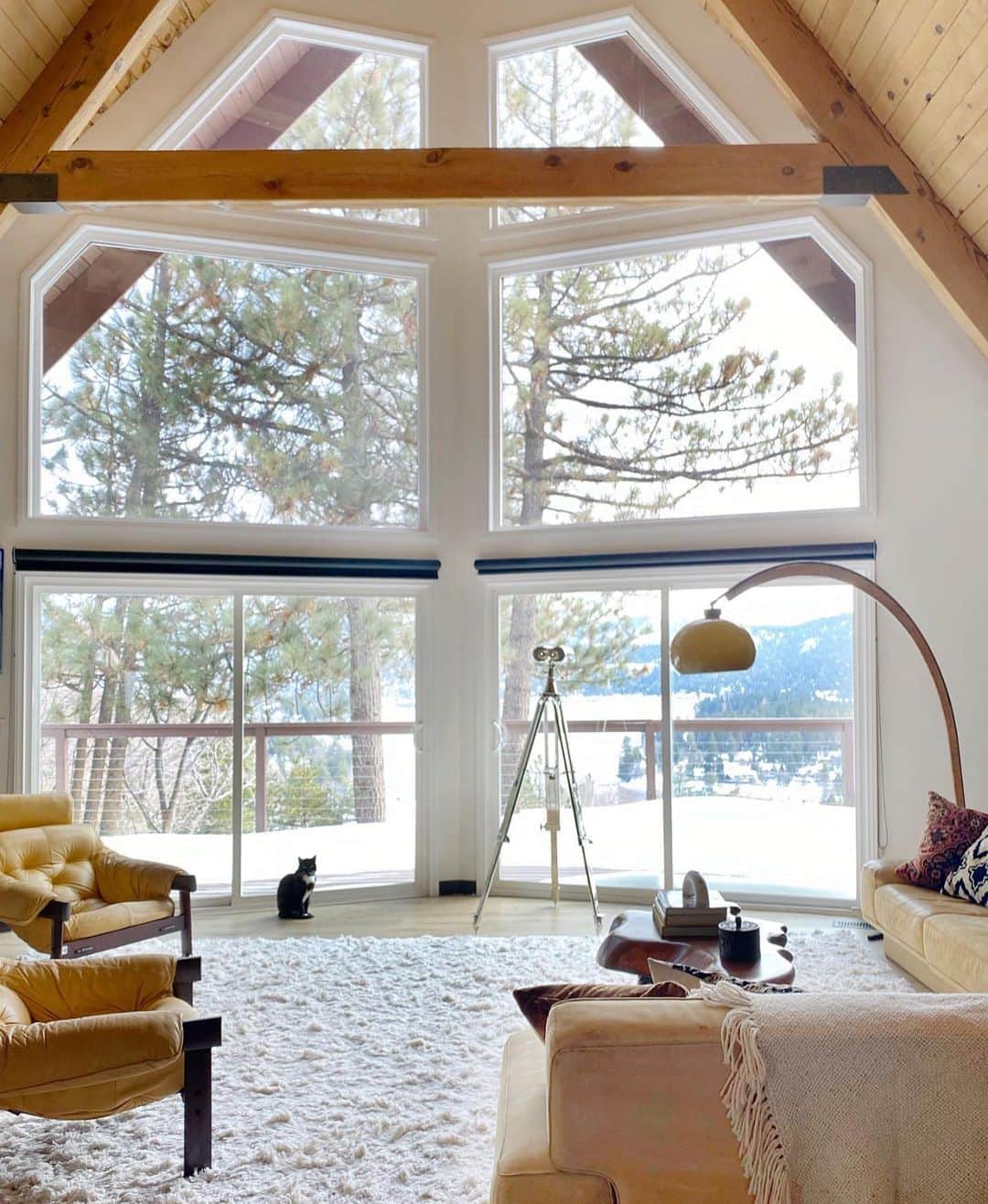 My Interiorのインスタグラム：「What more can you ask for, Sunday mood in the home of @skaynedesigns」