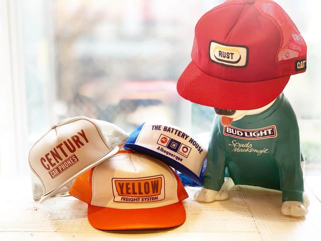 スタンダードカリフォルニアのインスタグラム