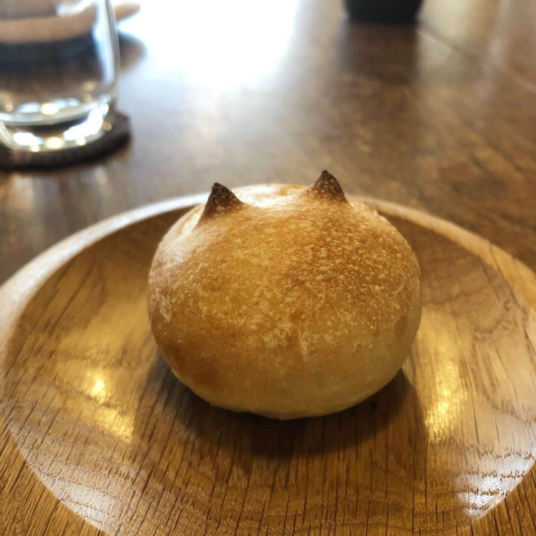 加藤るみさんのインスタグラム写真 - (加藤るみInstagram)「食堂RUTAさんでランチ☕️ どの料理も丁寧に作られていて美味しい〜。 スイーツのいちごミルクがほっぺた落ちた🍓♡ コスパの良さも魅力的😋 #食堂ruta  #南船場ランチ」2月7日 18時01分 - rumicinema