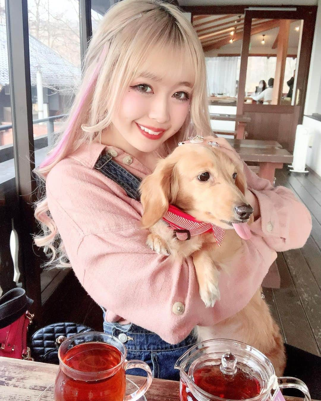 雨宮由乙花さんのインスタグラム写真 - (雨宮由乙花Instagram)「わんわん🐶🐾   今日はママとみるきとお出かけ🎶  お昼ご飯にカレーを食べて、 その後オーガニックの オレンジティー飲んだ 🍊  3人でお出かけすること あんまりないから幸せ💭  楽しい1日でしたっっ✊🏻💓  #egg #eggモデル #愛犬家  #ギャル愛犬家 #うさギャル #オレンジティー #オーガニック」2月7日 18時02分 - _pinkbunnygirl_