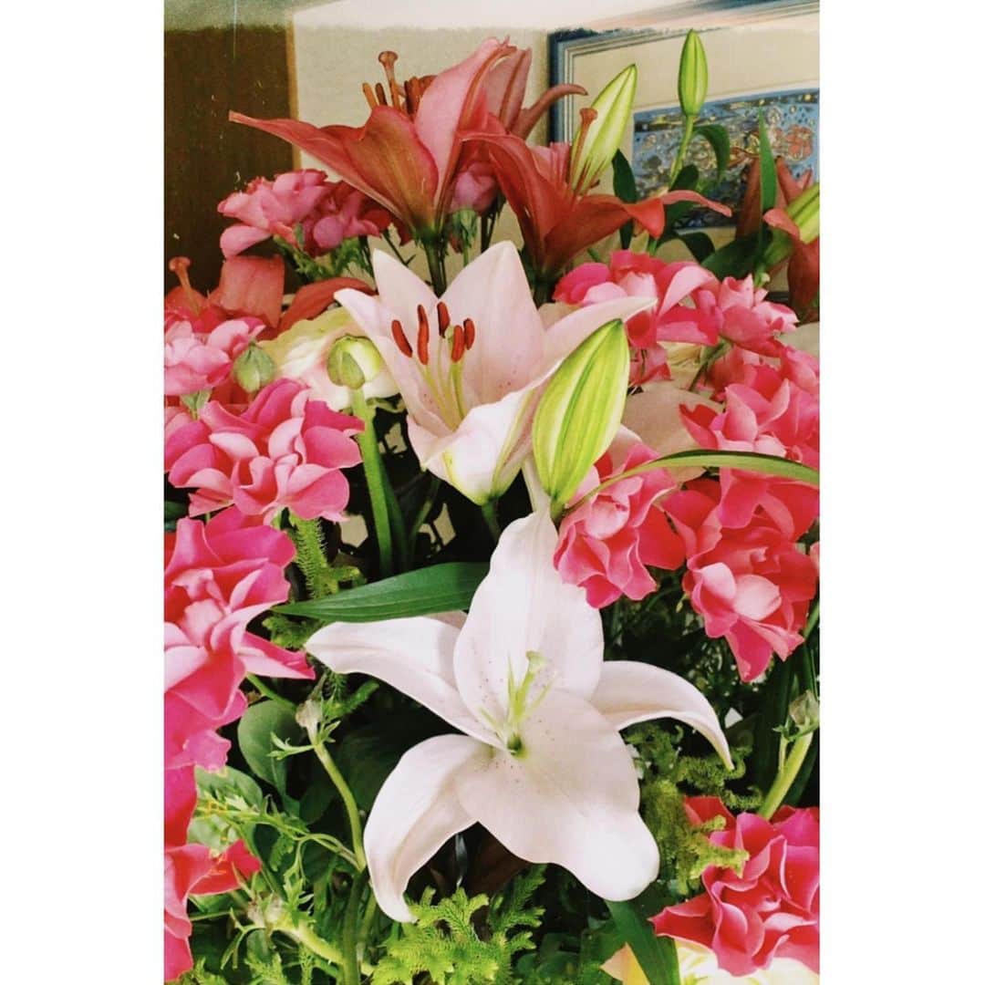 大山百合香さんのインスタグラム写真 - (大山百合香Instagram)「大好きな友人から . ピンクの百合の花を見つけて、すぐに百合香さんだー！って思い出し、とっても綺麗なので送ります♡ . と送ってくれた百合の花の写真と . 沖永良部島の母からの春の便り🌸  . . とっても美しくてしばらく眺めてた。何より思ってくれて届けてくれるその気持ちが嬉しくて、穏やかな気持ちに包まれました🍃  ありがとう。  おうち時間が増えた今こそ 暮らしに花を💐  皆さんにも届けーー🙋‍♀️  #ピンクの百合 #桜 #沖永良部島 #暮らしに花を #花は心の癒し #春の便り🌸」2月7日 18時03分 - ohyamayurika