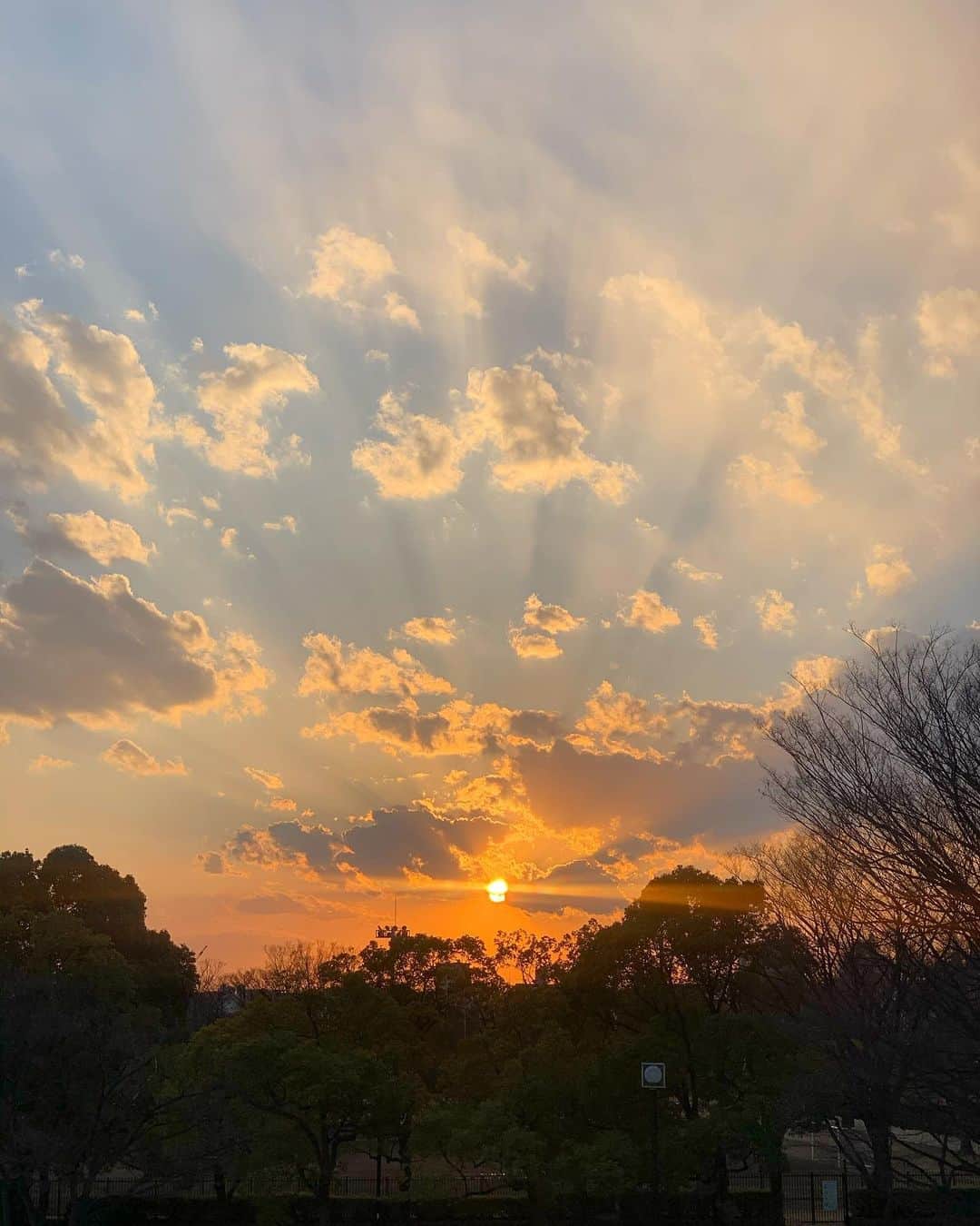 猪鼻ちひろのインスタグラム：「きょうの空🌷 何かが降臨したの？と思うくらいの太陽と雲と光。 あまりにも綺麗でずっと眺めちゃったので、お裾分けです！ あしたは大切なお仕事だから ときめくものを沢山見て (ブログにときめいたもの欲しいもの沢山アップしたよ！) インプットできてパワーチャージ出来て嬉しかった♡ 最近ちょっとトゲトゲしかった気がするから もっと柔軟に。わたしらしく頑張るぞ〜 #空がすき #お裾分け #ノンフィルター」