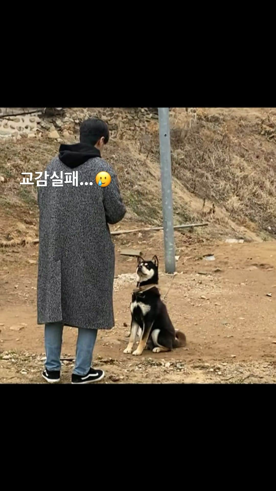 キム・ジソクのインスタグラム：「. are you a dog person or a cat person? 🐕‍🦺👐🐈」