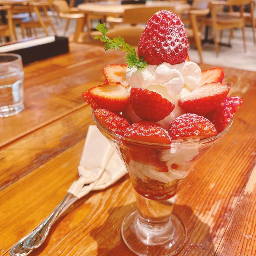 佐藤朱のインスタグラム：「グリルみのる . いちごパフェ〜🍓 仙台いちご「もういっこ」がたくさん！ 真ん中に入っているアイスクリームもさっぱり程よい甘さでいちごとよく合うの😳 #グリルみのる #エスパル仙台 #少し前の写真です #季節限定パフェ」