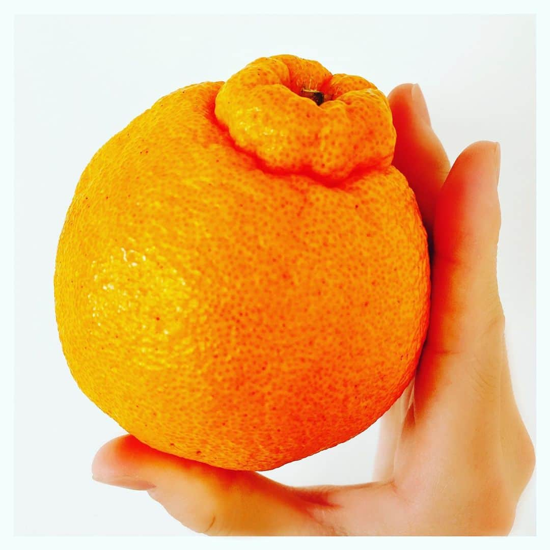 千葉翔也さんのインスタグラム写真 - (千葉翔也Instagram)「甘かった🍊  #ちばナイで話してた #デコポン #熊本県 #ありがとう #アクセント #2種類 #驚いた #今日は #スケスタ #放送日 #これもラジオで話すので観てね」2月7日 19時56分 - shoya_chiba_official