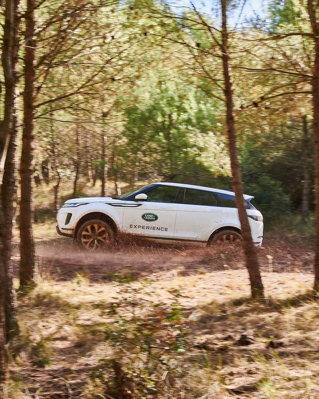 Land Roverさんのインスタグラム写真 - (Land RoverInstagram)「Mud, puddles and wet weather - the perfect conditions to take on a challenging off-road route at a #LandRoverExperience centre near you. Book now, visit later this year via the link in our bio.  #RangeRover #Evoque #OffRoad #Mud #Mudding  #Wading #LandRover」2月7日 20時00分 - landrover