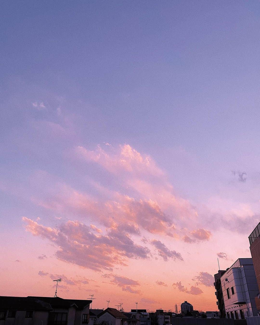 水上京香さんのインスタグラム写真 - (水上京香Instagram)「よし、晩御飯を作ろう🍝」2月7日 20時05分 - kyokaminakami_official
