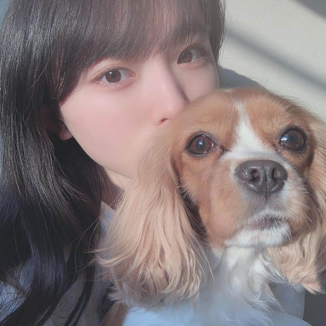 久保怜音のインスタグラム：「#おうちじかん  #dog #いぬすたぐらむ  #いぬがいる暮らし  #🐶」