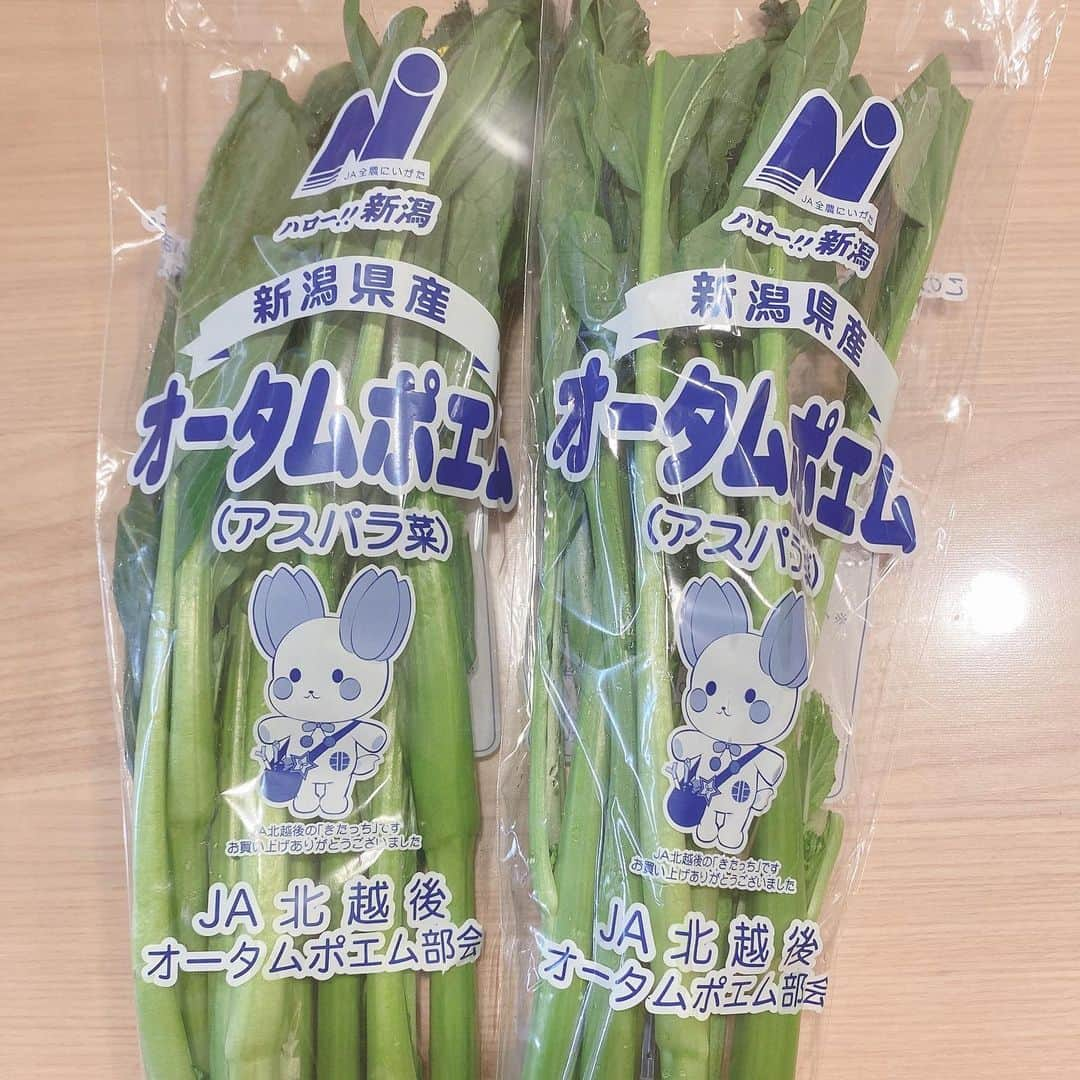 小越春花さんのインスタグラム写真 - (小越春花Instagram)「新発田市産オータムポエム🥬  オータムポエムでペペロンチーノを作りました！👨🏻‍🍳♡  ペペロンチーノのシンプルな味付けとオータムポエムの甘みがいい感じ〜😊  実はこのオータムポエム、種まきの一部をちっちゃいもんくらぶでやらせていただいて、成長過程を見守っていたんです🌱☺️ そして先日収穫されました！！  これ、甘みがすごくて！！！ そのまま食べてもめちゃウマ😳✨  おひたしをこんなに美味しいと思ったの、本当に初めてです！ (だれか私の「本当に」を信じてほしい笑いつでも言う訳じゃないもん！)  皆さんもぜひ！ オータムポエム推します🥰  #オータムポエム#アスパラ菜#新発田 #ペペロンチーノ#おひたし#おいしい #ちっちゃいもんくらぶ  #ちっくら」2月7日 20時39分 - haruka_2525_ngt48