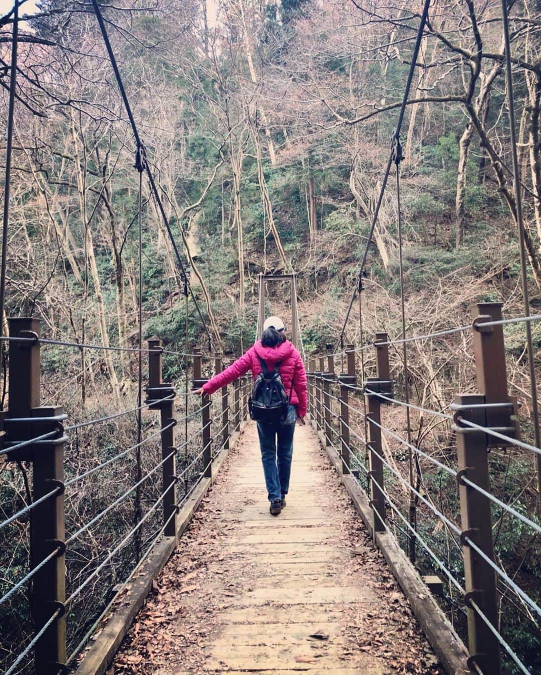 石原夕里朱さんのインスタグラム写真 - (石原夕里朱Instagram)「Hiking♡﻿ ﻿ 高尾山へ行って来ました⛰﻿ ﻿ 初めてやったので途中までケーブルカーで🚠﻿ ﻿ 行きは1号路の表参道コース﻿、 ﻿ 帰りは4号路の吊り橋コースにしてみました👟﻿ ﻿ 今度は麓から行ってみようっと🏃‍♀️﻿ ﻿ 暖かくて登山日和でした☀️﻿ ﻿ #MtTakao #hiking #walking #ootd #fashion #hikingfashion #instagood #photooftheday #instadiary #高尾山 #登山 #登山日和 #私服 #今日のコーデ #登山ファッション #パンツスタイル #⛰」2月7日 20時52分 - ri_hannari